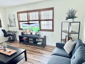 Smart TV, fireplace, books