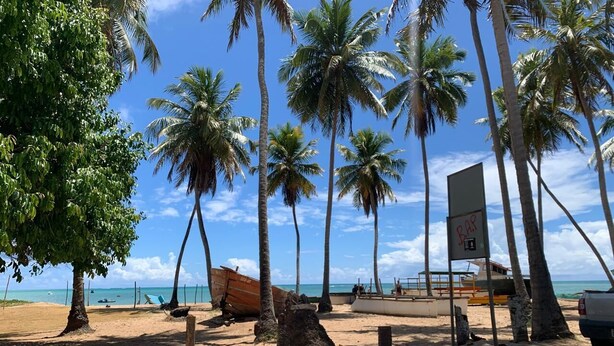 A sandy beach with palm trees, a signboard, and a boat. - Spacious and airy house in Japaratinga, pets allowed. (Japaratinga)