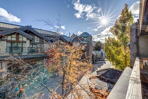 Unclassified image, 3 of 24, button