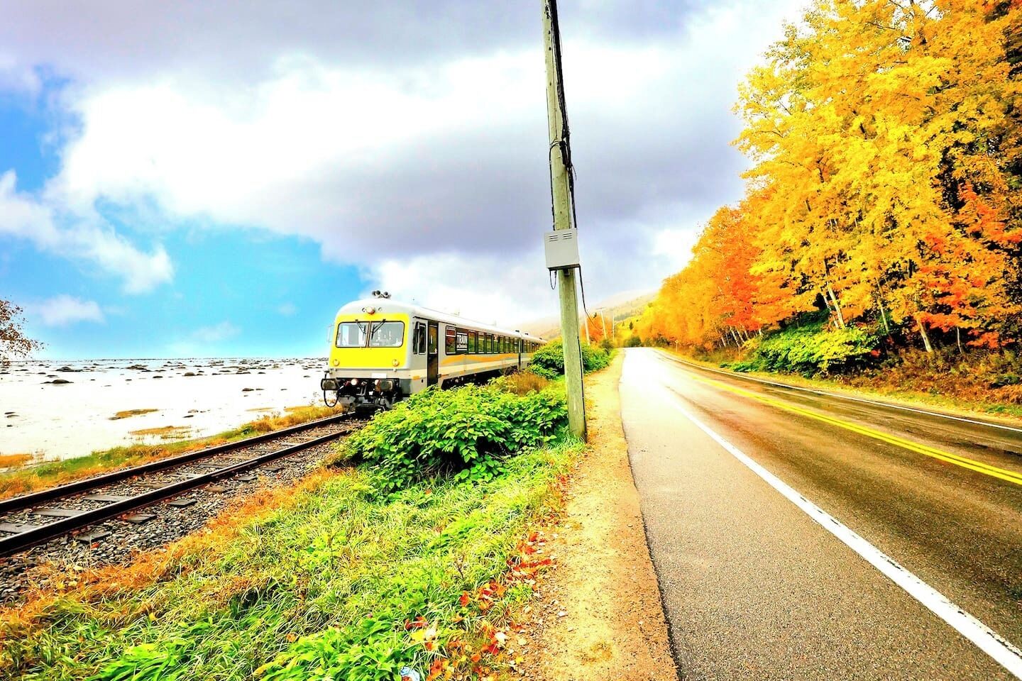 Ein Zug fährt auf Gleisen neben einer Straße mit Herbstlaub.