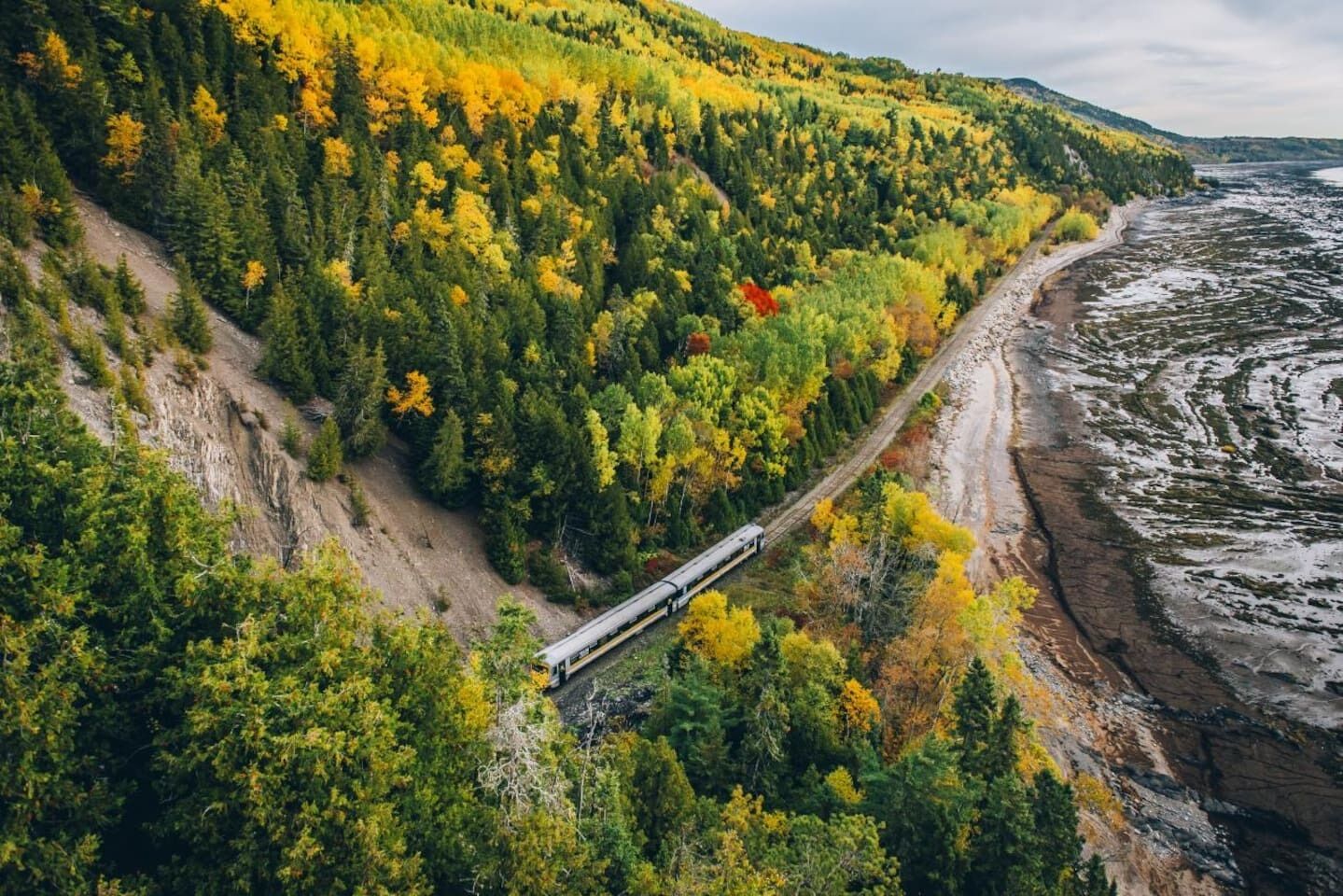 A train traveling along a track through a forested area with a river on the right.