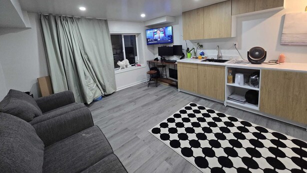 Un soggiorno moderno con un divano grigio, un tappeto a motivi bianco e neri e una zona cucina con pensili in legno e un televisore.