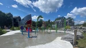 A water play area with a shark-shaped slide and green climbing structures.