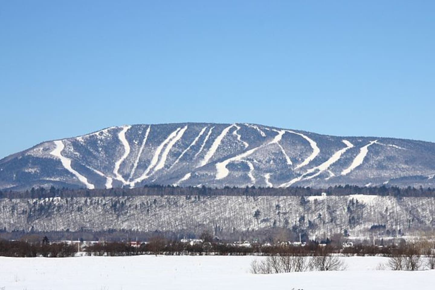Une montagne enneigée avec des pistes de ski.