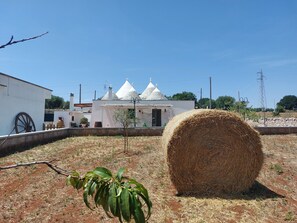 Ulkoalueet