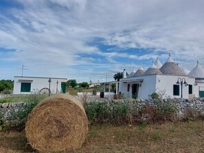 Nicht klassifiziertes Bild, 2 von 12, Schaltfläche