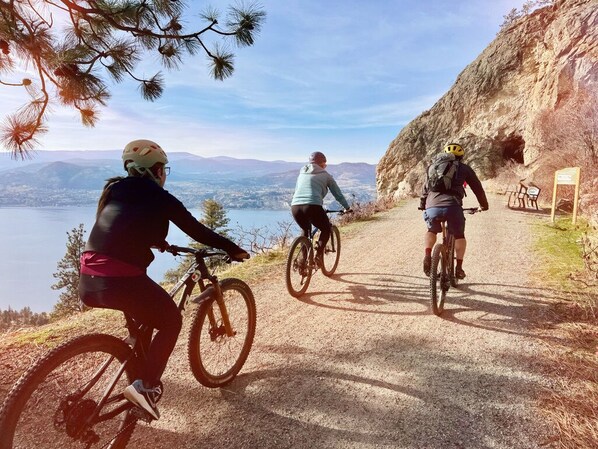 Unclassified image, 1 of 22, button