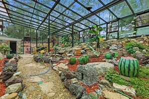 Unclassified image, 5 of 40, button