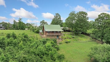 A rustic cabin with a green roof, surrounded by lush greenery and trees.