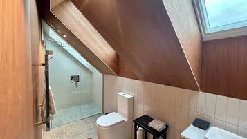 Shower, hair dryer