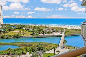Property grounds - 🌊Stunning Oceanfront | Pool | Ocean Creek South CC-8🌊 (Myrtle Beach)