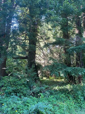 Nicht klassifiziertes Bild, 4 von 57, Schaltfläche