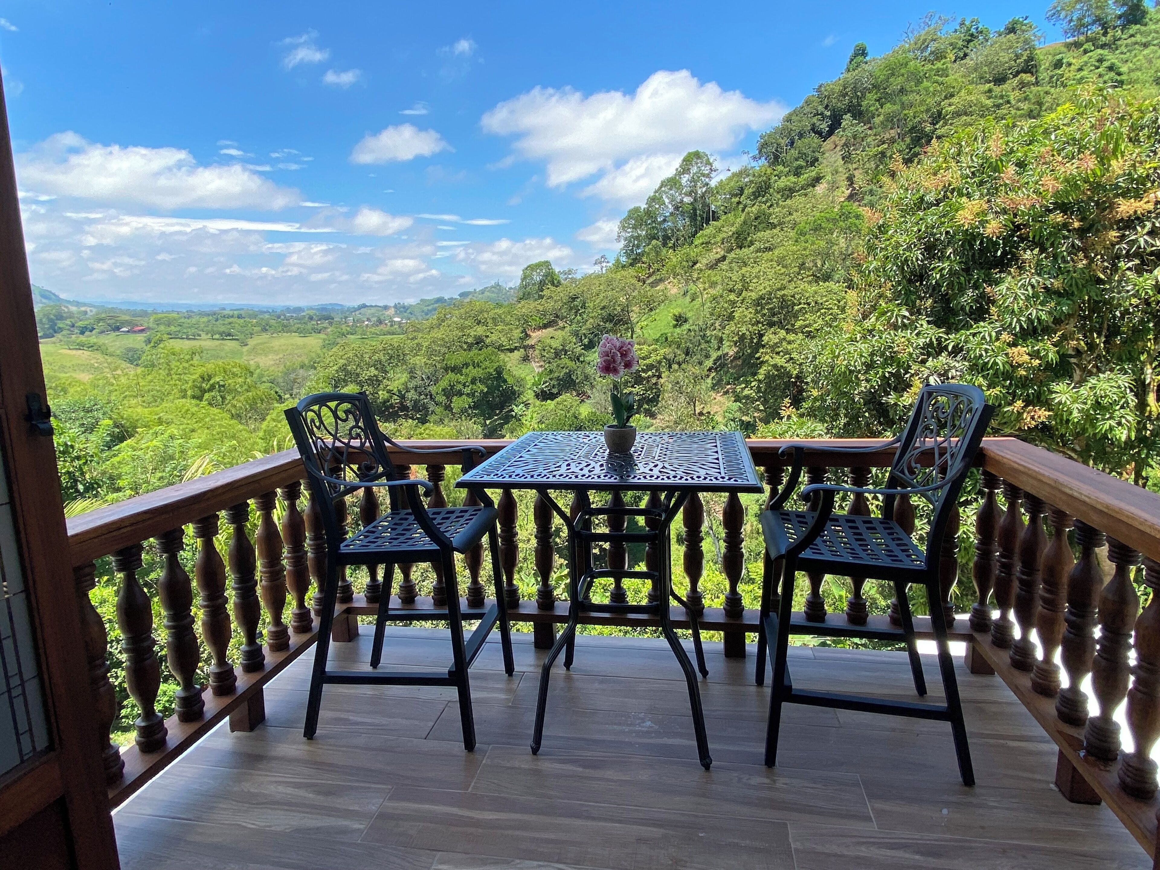 Chambre Junior, balcon, vue montagne | Vue sur les montagnes