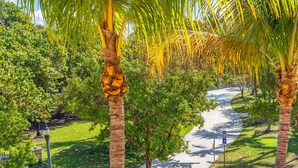 Un sendero bordeado de palmeras y vegetación, que conduce a un edificio con un cartel que dice 'CEMAN'.