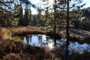 Immagine non classificata, 4 di 47, pulsante