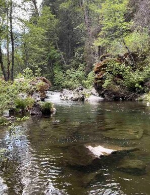 Immagine non classificata, 5 di 47, pulsante