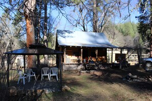 Immagine non classificata, 2 di 47, pulsante