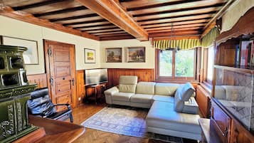 Télévision, cheminée