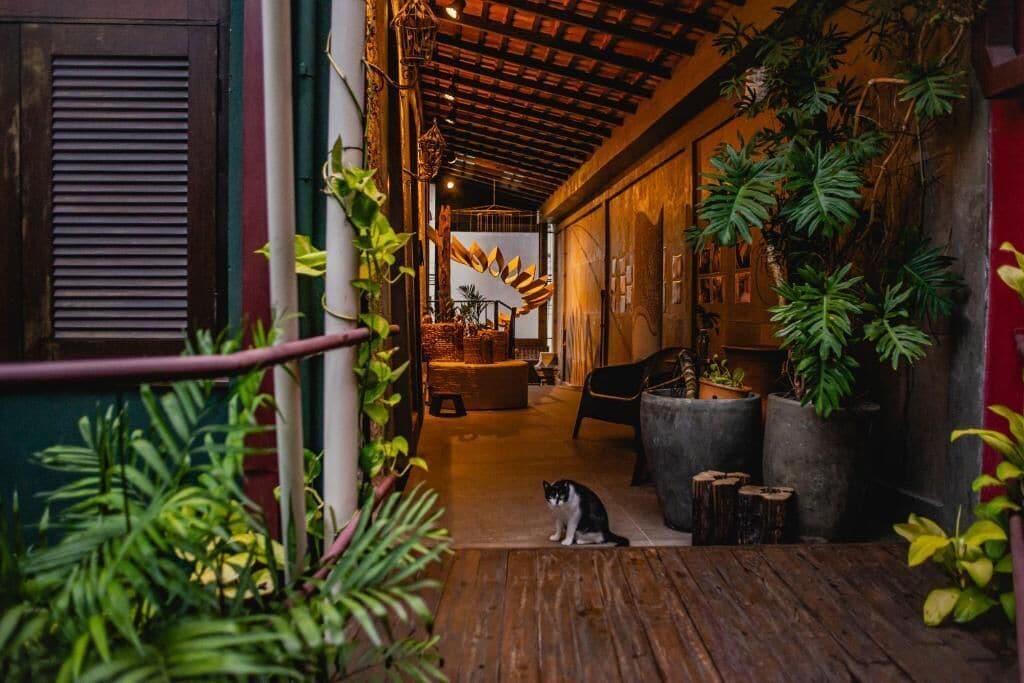 Área da propriedade