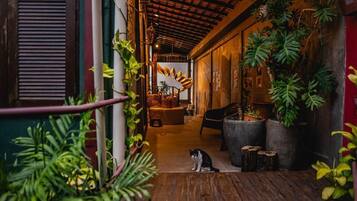 Área da propriedade