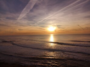 Unclassified image, 4 of 20, button