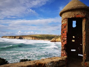 Unclassified image, 5 of 20, button