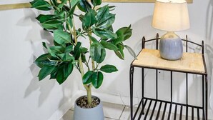 Un coin agrémenté d’une plante en pot, d’une lampe posée sur un pied en métal et d’un mur recouvert de lambris en bois.