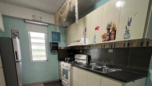 Une cuisine équipée d’une cuisinière à gaz, d’un four, d’un évier et d’un réfrigérateur.