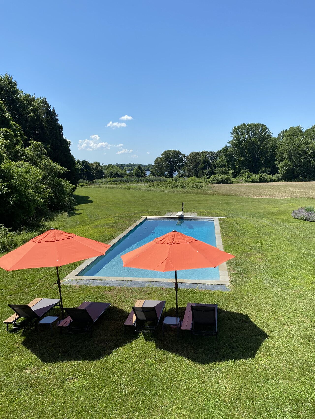 Relaxing Pool Days