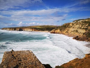 Unclassified image, 2 of 39, button