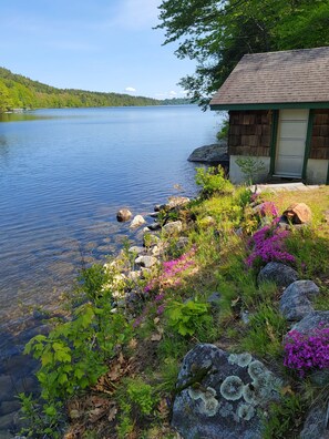 Un chalet au bord du lac, avec une façade en bois et une porte verte, entouré d’une eau cristalline et d’une végétation luxuriante.