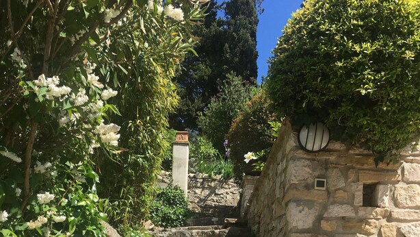 A stone staircase leading up a hill, surrounded by lush greenery and white flowers. - A cozy little house in the vineyards, in a quiet setting, just a 1/4 walk from the beach—3 minutes by car! (Cassis)