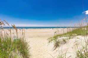 Une plage avec un ciel dégagé, un rivage sablonneux et une végétation clairsemée.