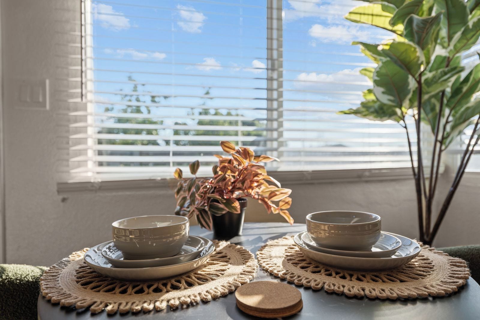 A table with two ceramic bowls and saucers, a woven placemat, and a potted plant with variegated leaves.