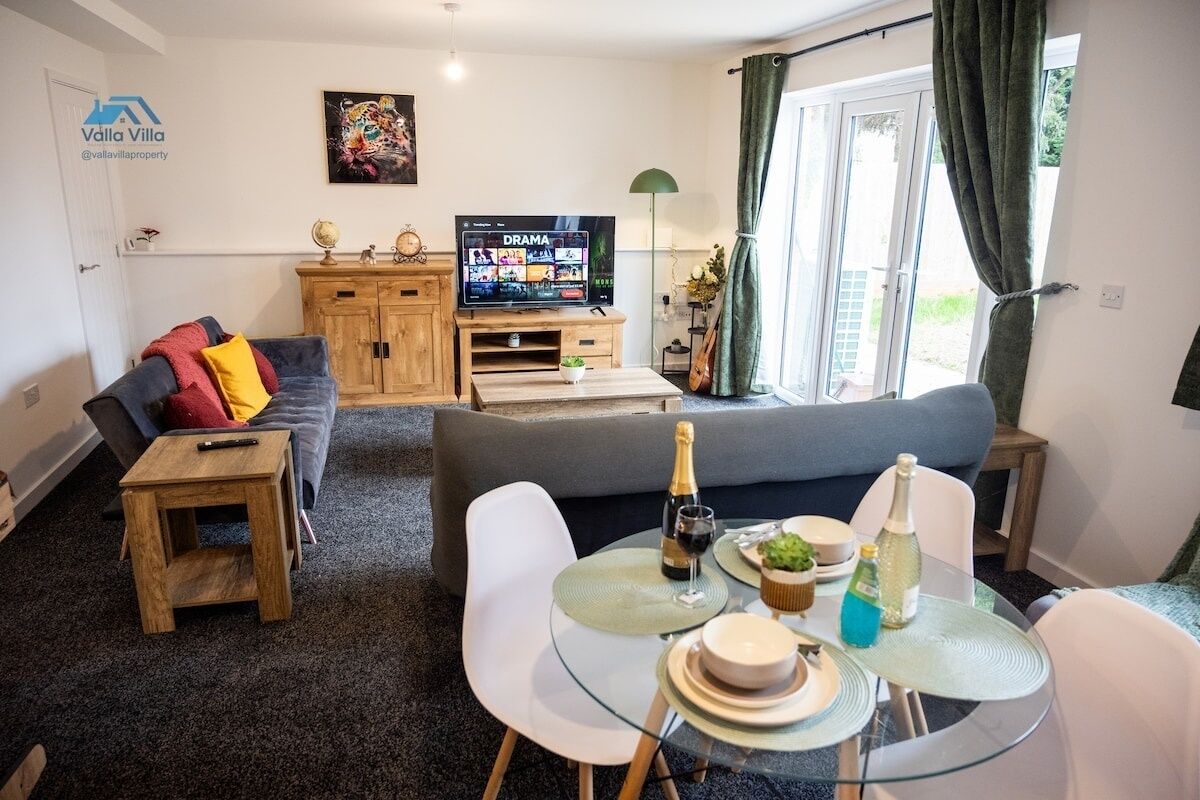 TV, fireplace, video games, DVD player