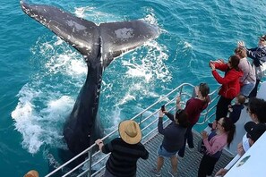 Unclassified image, 4 of 6, button - Luxury Resort Hotel Room Urangan Marina Precinct (Urangan)