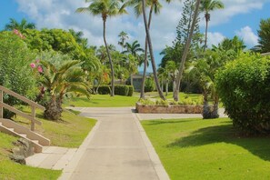 Property grounds - Pineapple Parrot, A Tropical Studio (Frydendal)