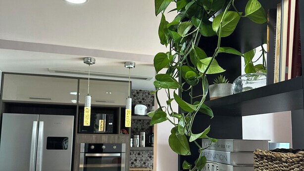 Een moderne keuken met roestvrijstalen apparatuur, een hangplant en een klein tafeltje met een kaars.