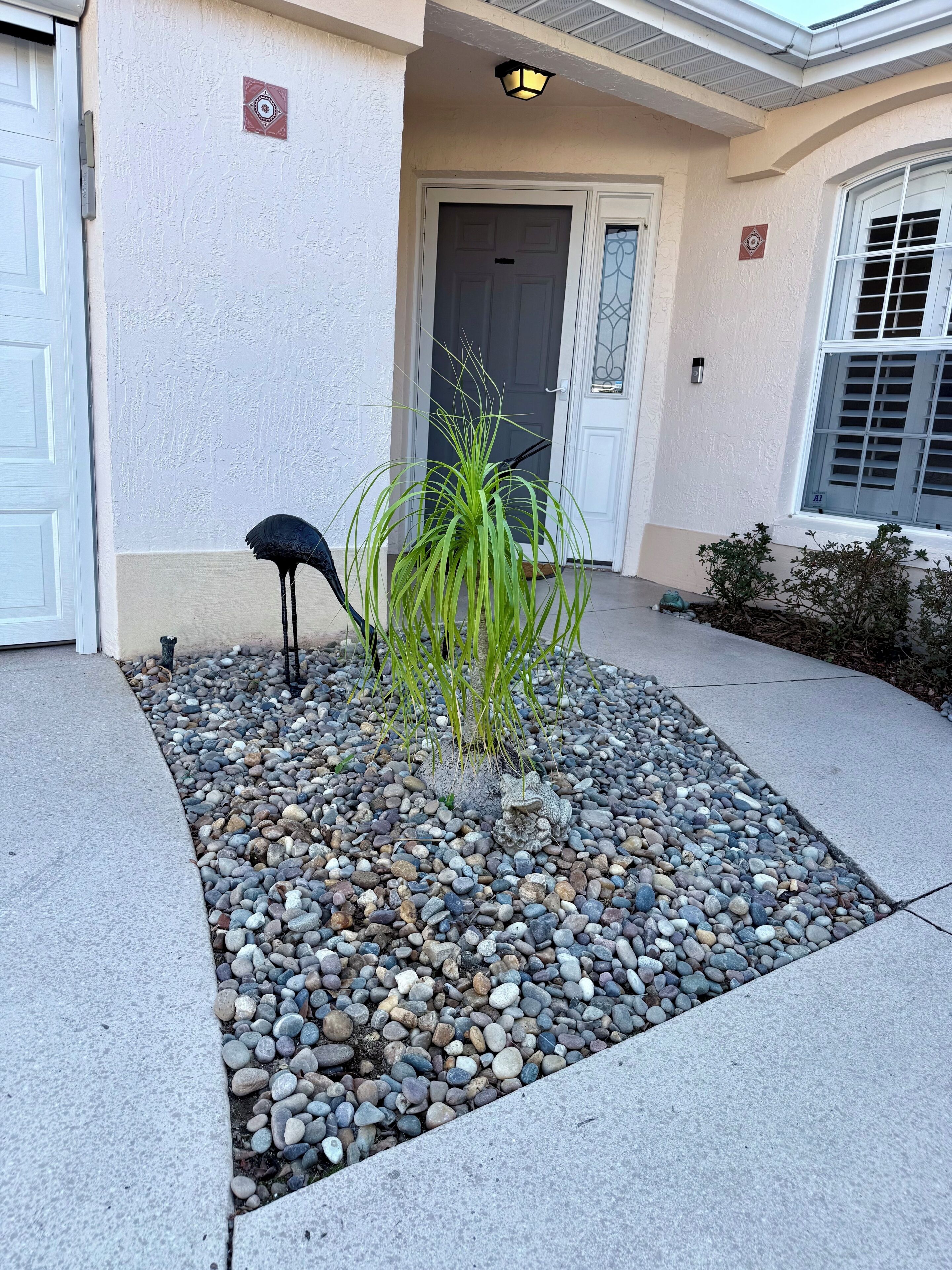 A building entrance with a door, a small garden with pebbles and a plant, and a bird feeder.