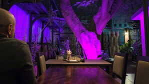 Un comedor con una amplia mesa de madera, sillas y un colgador de luces.