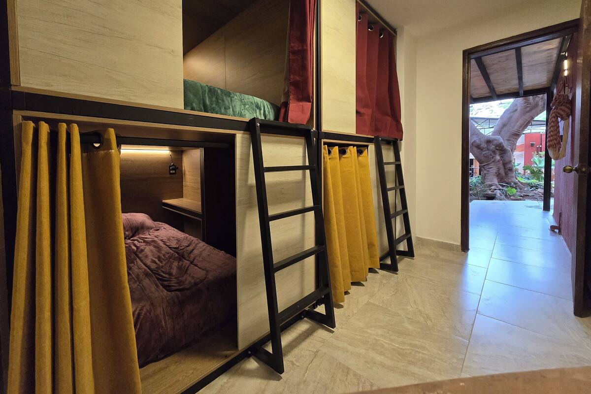 A dorm-style room with bunk beds, a ladder, and curtains.