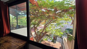 Una habitación con un ventanal grande que da a un jardín con árboles y un sendero.