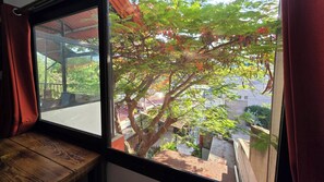 Standard Double Room, Balcony, Courtyard View | Interior - Casa del Árbol Hostel Xochimilco (Oaxaca)