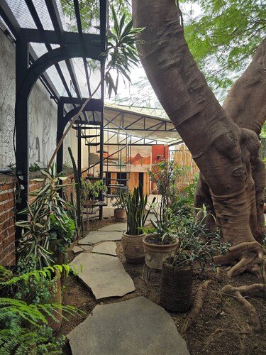 Casa del Árbol Hostel Xochimilco