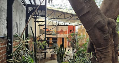 Casa del Ărbol Hostel Xochimilco