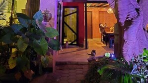 Una casa con puerta de vidrio, un área de comedor con mesa y sillas, y un árbol grande al frente.