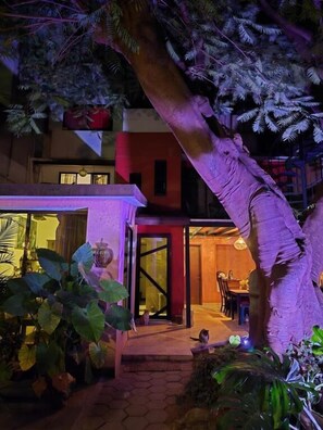 Terrace/patio - Casa del Árbol Hostel Xochimilco (Oaxaca de Juárez)