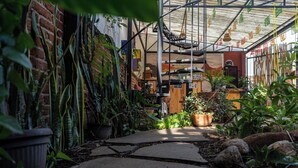 Terrace/patio - Casa del Árbol Xochimilco (Oaxaca)