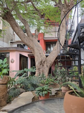Fachada