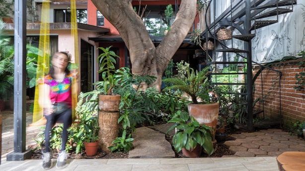 Terrace/patio - Casa del Árbol Xochimilco (Oaxaca)